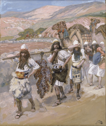 The 12 spies returning from Cannan